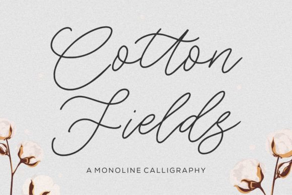 Cotton Fields Font: Elegant Script for Crafters