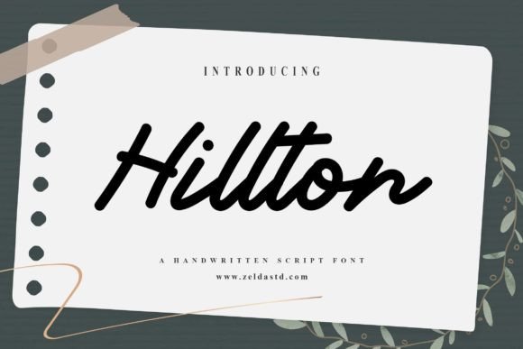 Hillton Font: Elegant Script for Web Design