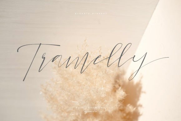 Tramelly: A Script Amp for Real Projects