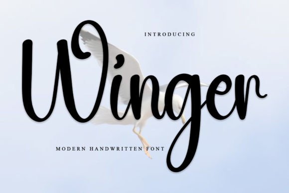 Winger: A Script Amp That Delivers